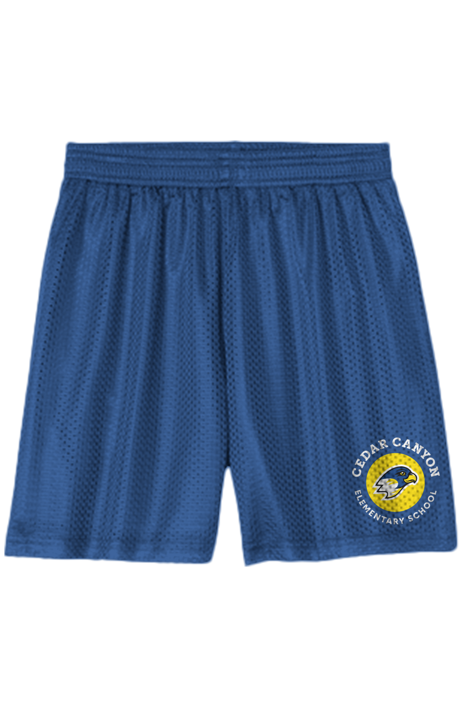 Youth Mesh Shorts