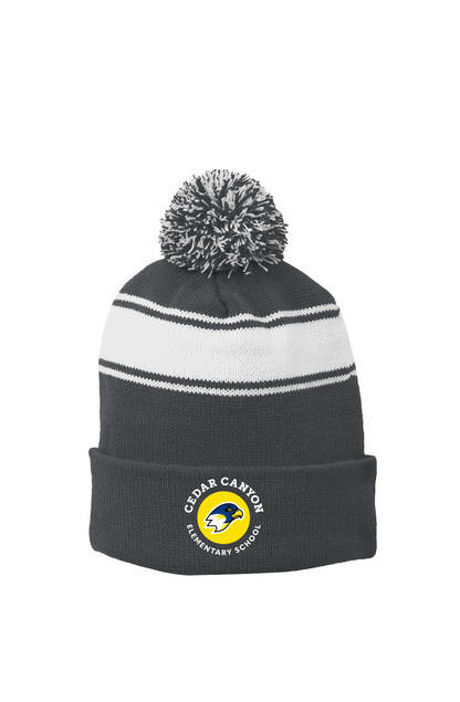 Stripe Pom Beanie
