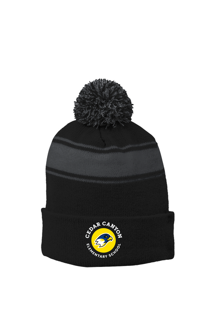 Stripe Pom Beanie
