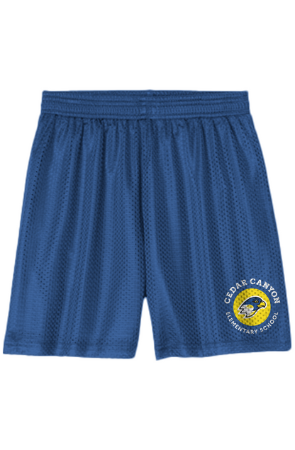Youth Mesh Shorts