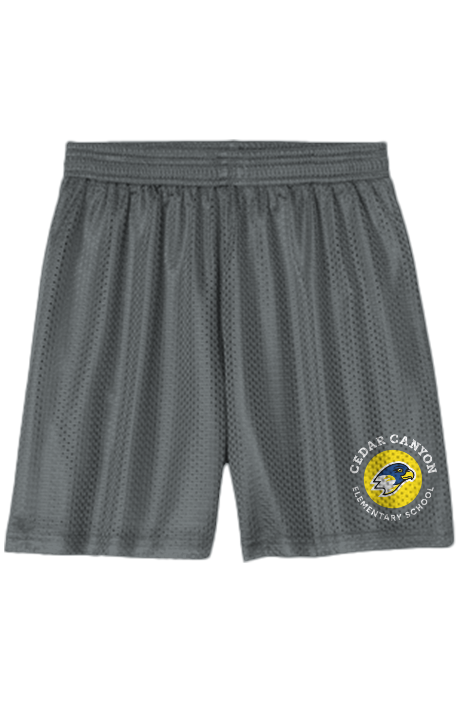 Youth Mesh Shorts