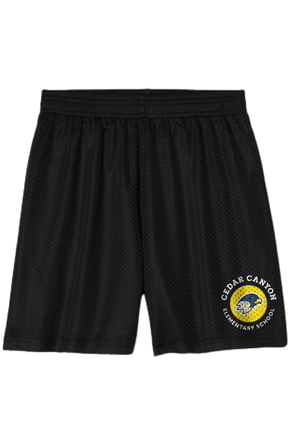 Youth Mesh Shorts